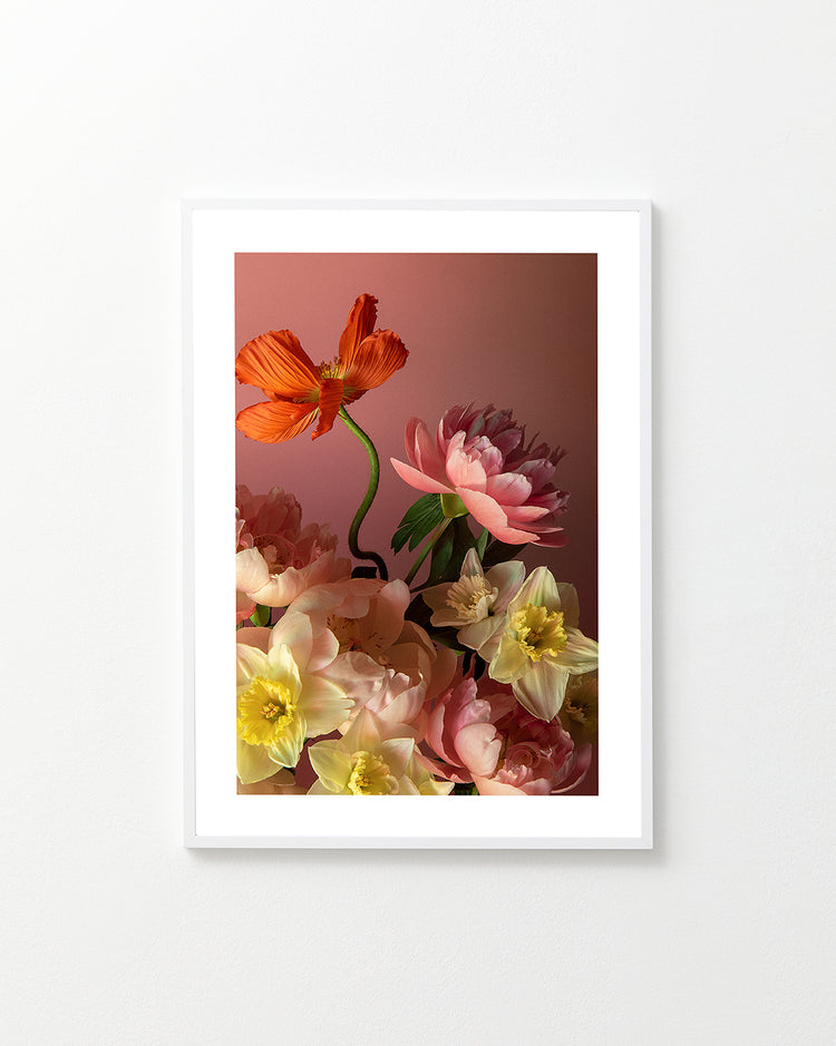 The Sprung Poster presents a framed still life photo on a white wall, featuring a floral arrangement with pink peonies, orange, and yellow flowers against a soft pink background. It emphasizes the vibrant colors and delicate petals of the blossoms.