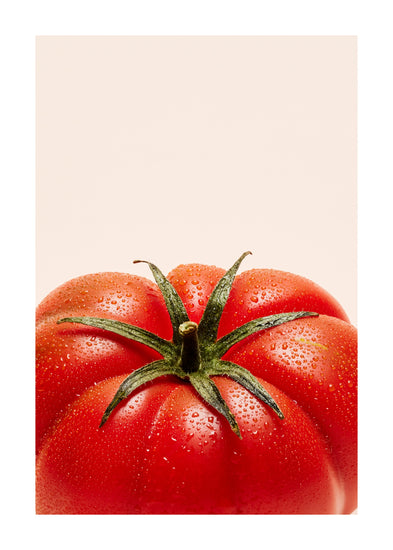 A close-up photograph features a vibrant red tomato adorned with delicate water droplets set against a clean white backdrop. White border.