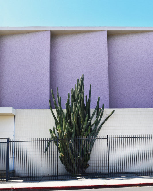 The Mosaic Church by the 101 Poster