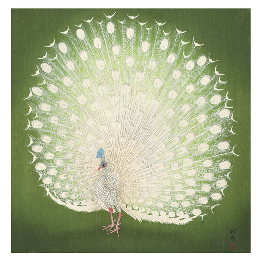 Artistic depiction of a peacock on a green background.