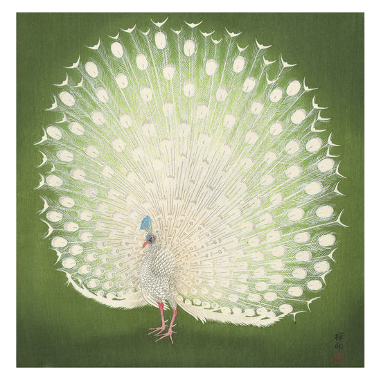 Artistic depiction of a peacock on a green background.