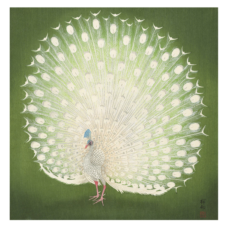 Artistic depiction of a peacock on a green background.