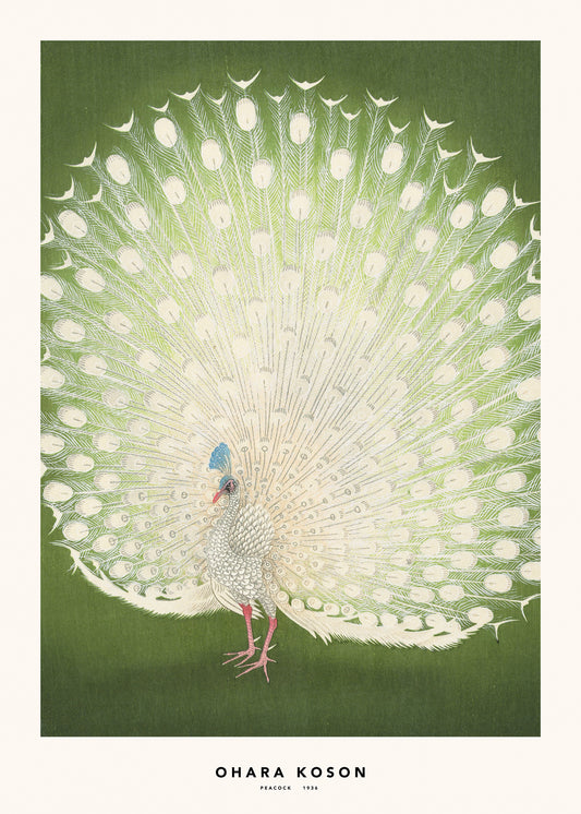 Illustration of a peacock on a green background.