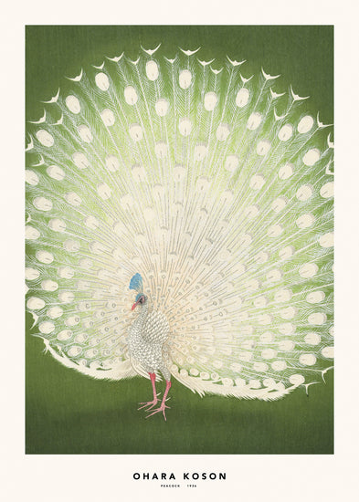 Illustration of a peacock on a green background.