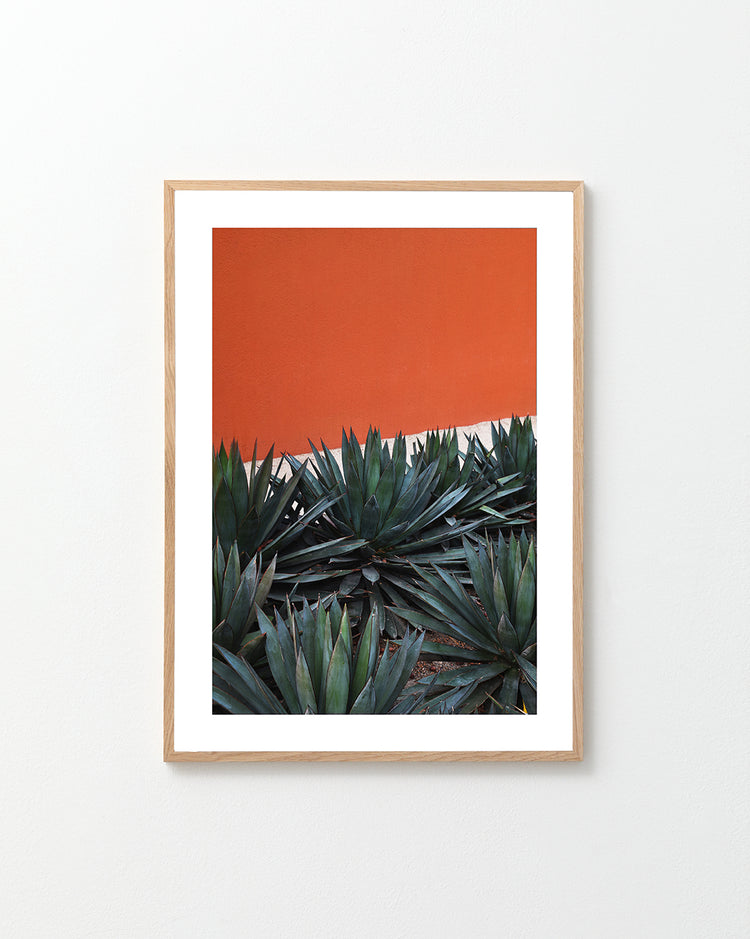 The Pershing Square Red Poster features green agave plants set against a vivid orange backdrop, framed with a light wood finish and mounted on a plain, light-colored wall, capturing the vibrant Los Angeles art scene.