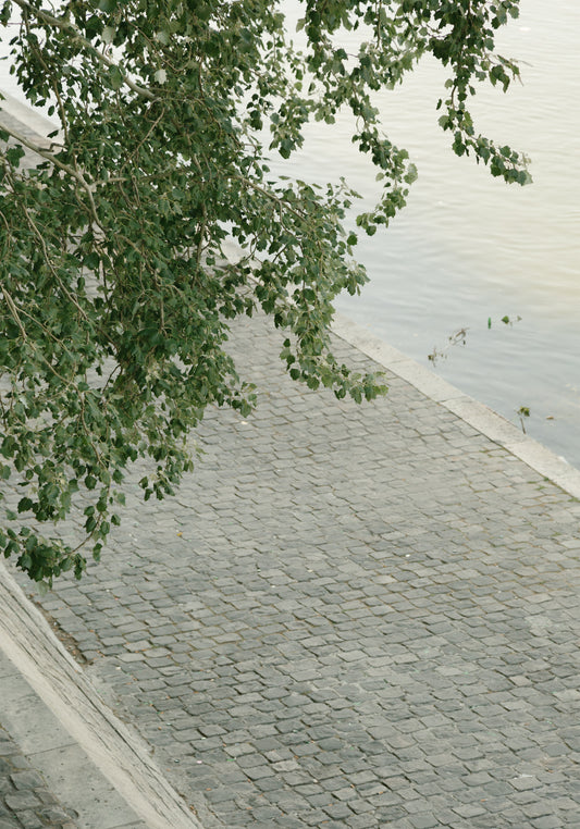 The Seine Poster