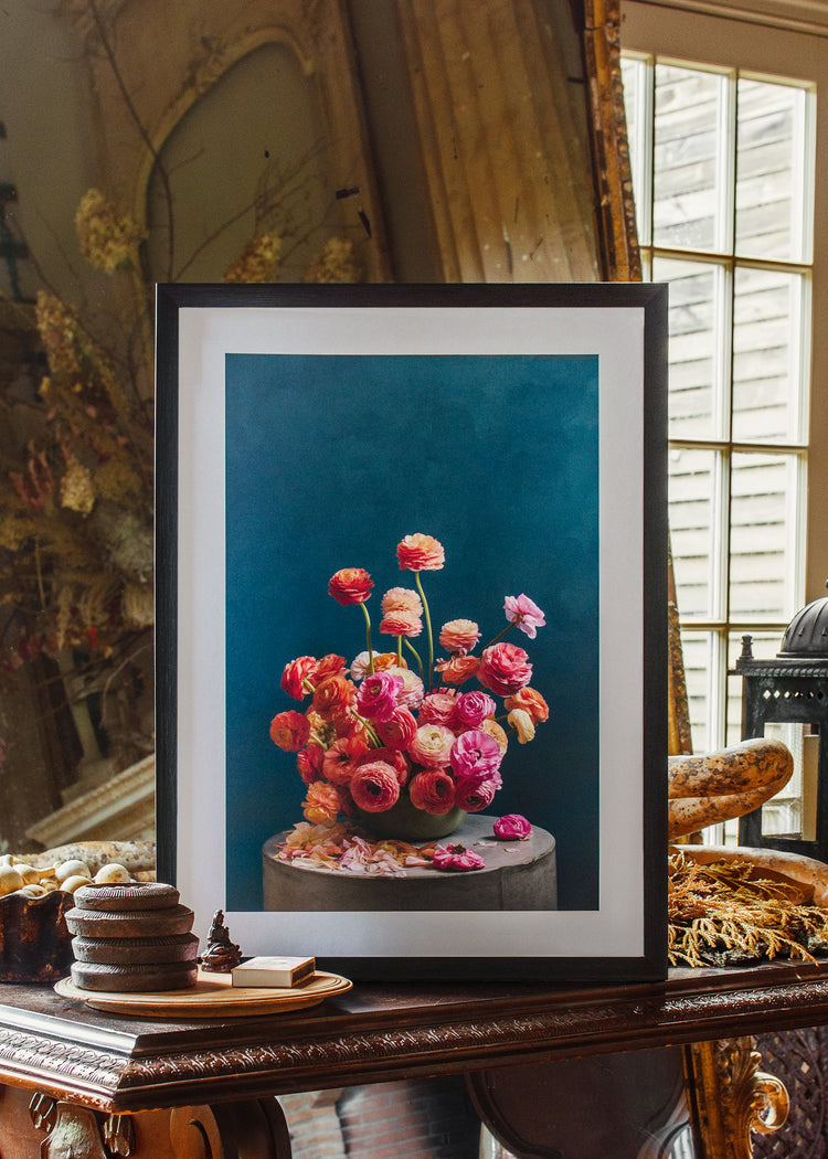 Ranunculus Rainbow Poster