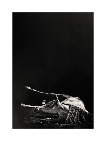 Black and white horse lying on its side in front of a black background.