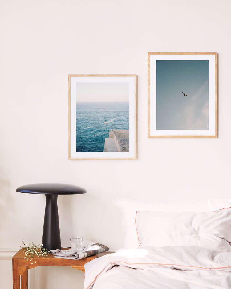 Blue Bird Poster