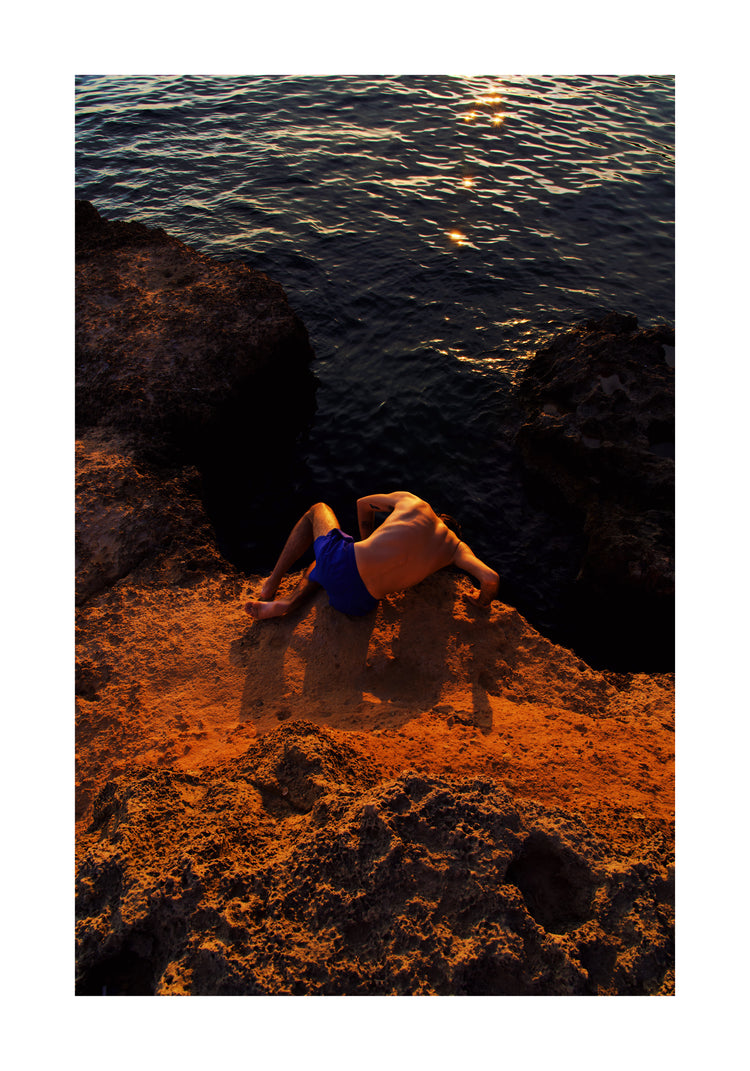 Saltwater Creature Poster