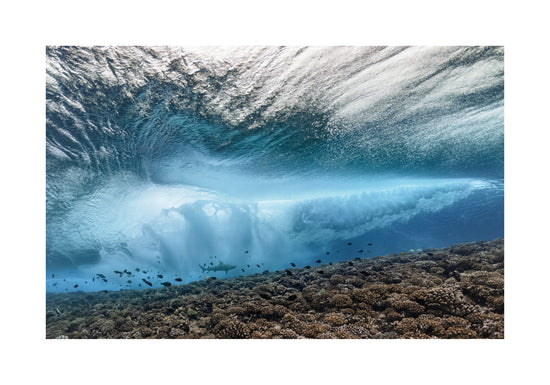 Wave crashing above a coral reef where fish and sharks are swimming.