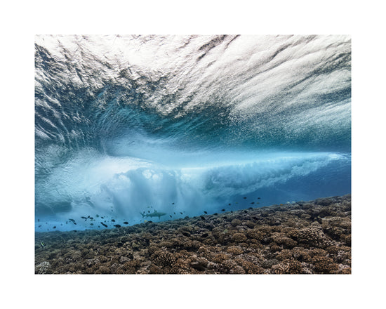 Wave crashing above a coral reef where fish and sharks are swimming.