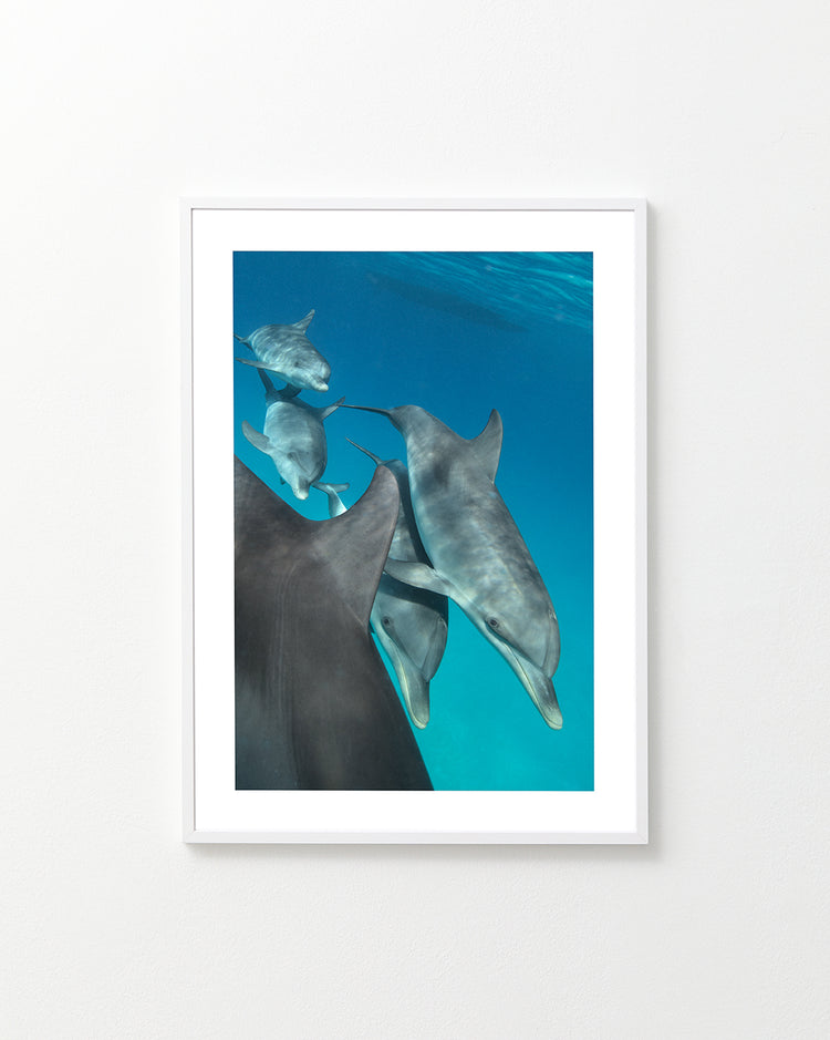 Ménage II Poster