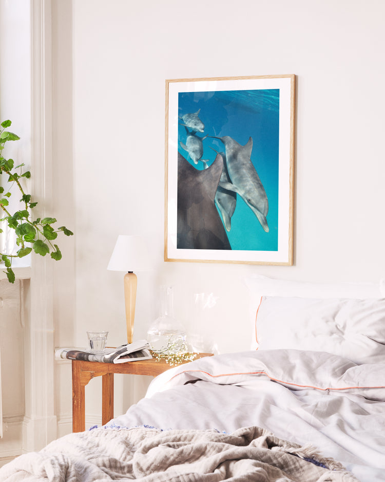 Ménage II Poster