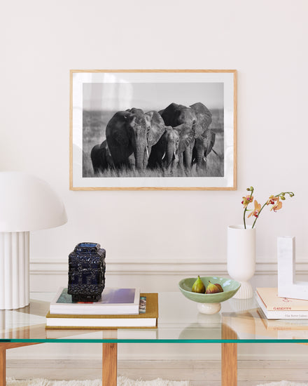 A modern living room features a glass table with books and a black decorative box, where even the shortest legs can reach their favorite read. Nearby, a light green bowl of fruit sits beside a white lamp. Elephants march in black and white on the On the Road poster, while an orchid adds vibrant color.