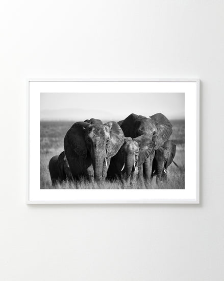 The On the Road Poster features a black and white photo of elephants walking through tall grass, adjusting their pace for the smaller ones. They huddle together, showcasing their large ears and tusks, all neatly framed with a simple white border.