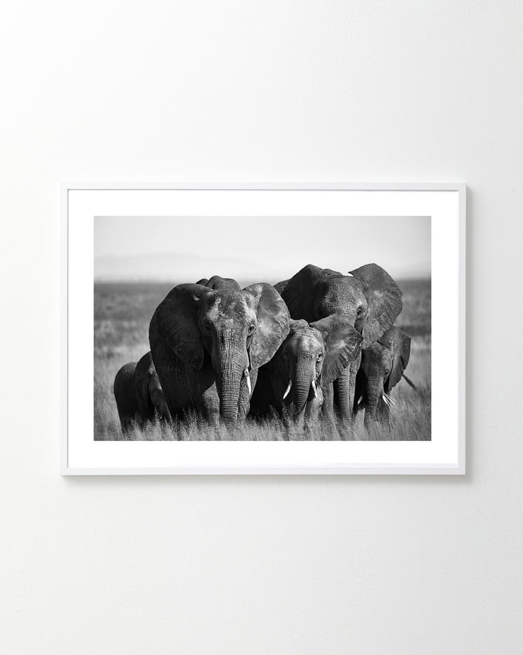 The On the Road Poster features a black and white photo of elephants walking through tall grass, adjusting their pace for the smaller ones. They huddle together, showcasing their large ears and tusks, all neatly framed with a simple white border.