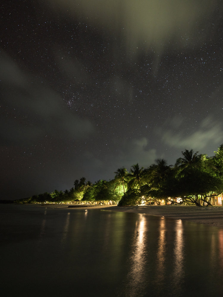Paradise island with palm trees and white sand under a star strewn sky.