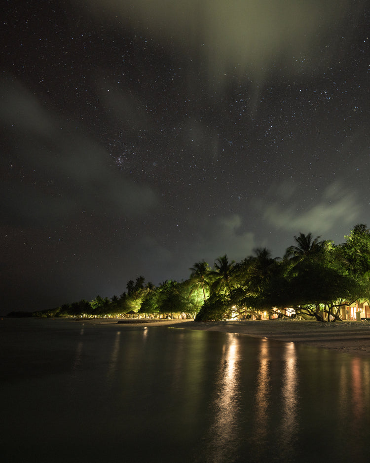 Paradise island with palm trees and white sand under a star strewn sky.