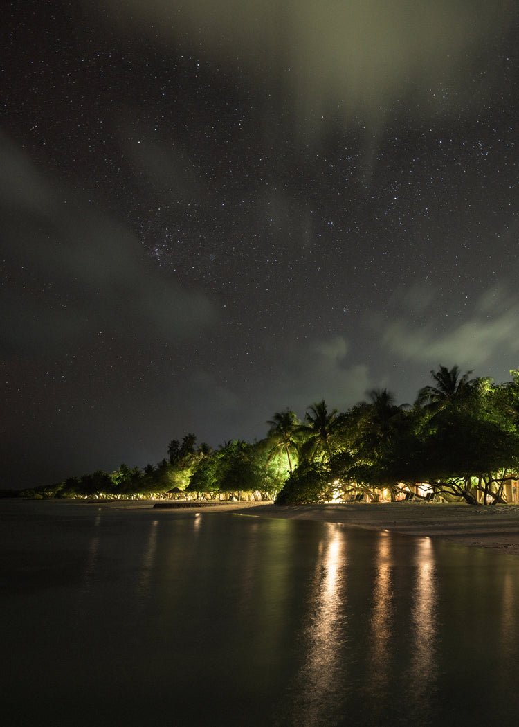 Paradise island with palm trees and white sand under a star strewn sky.
