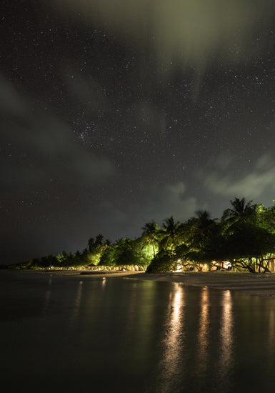 Paradise island with palm trees and white sand under a star strewn sky.