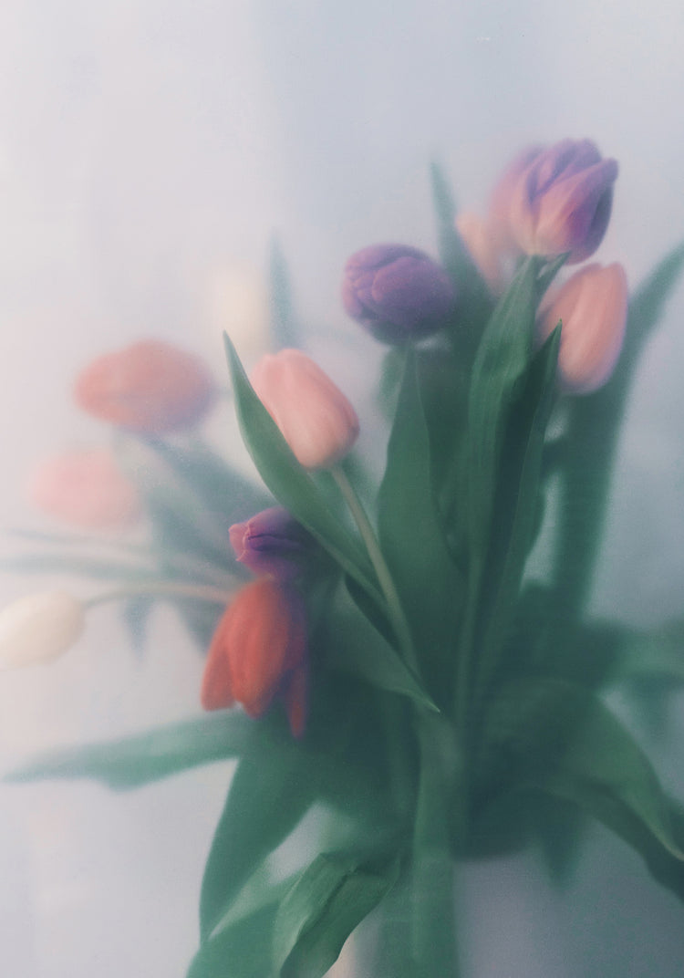 Blurry bouquet of colorful tulips with green leaves.