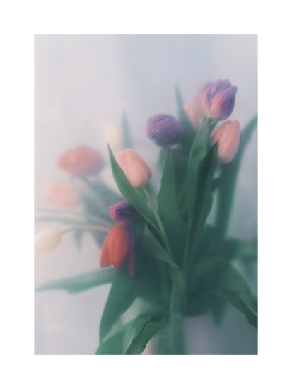 Blurry bouquet of colorful tulips with green leaves.