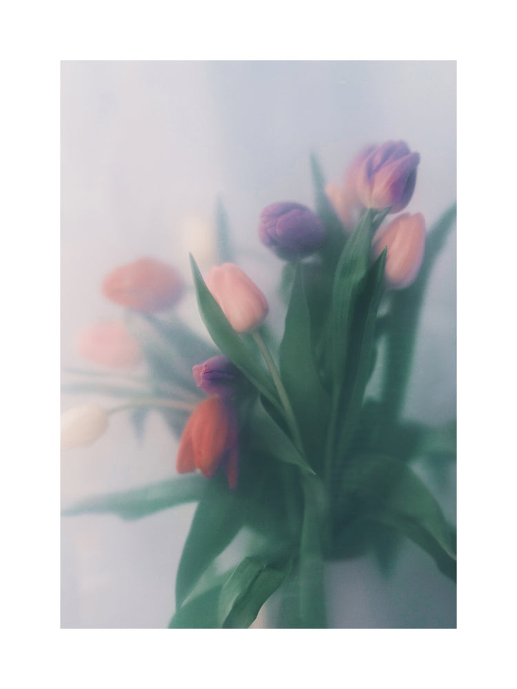 Blurry bouquet of colorful tulips with green leaves.