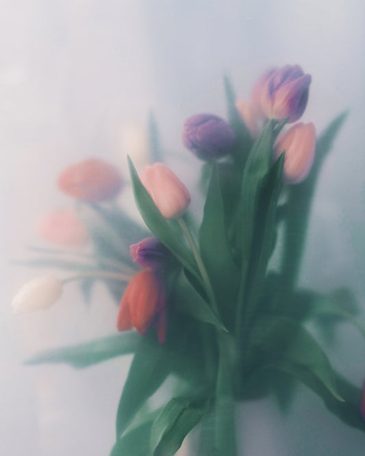 Blurry bouquet of colorful tulips with green leaves.