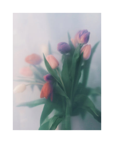 Blurry bouquet of colorful tulips with green leaves.