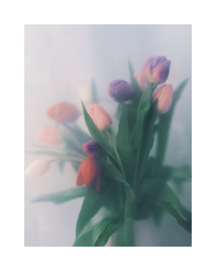 Blurry bouquet of colorful tulips with green leaves.