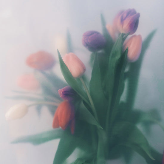 Blurry bouquet of colorful tulips with green leaves.