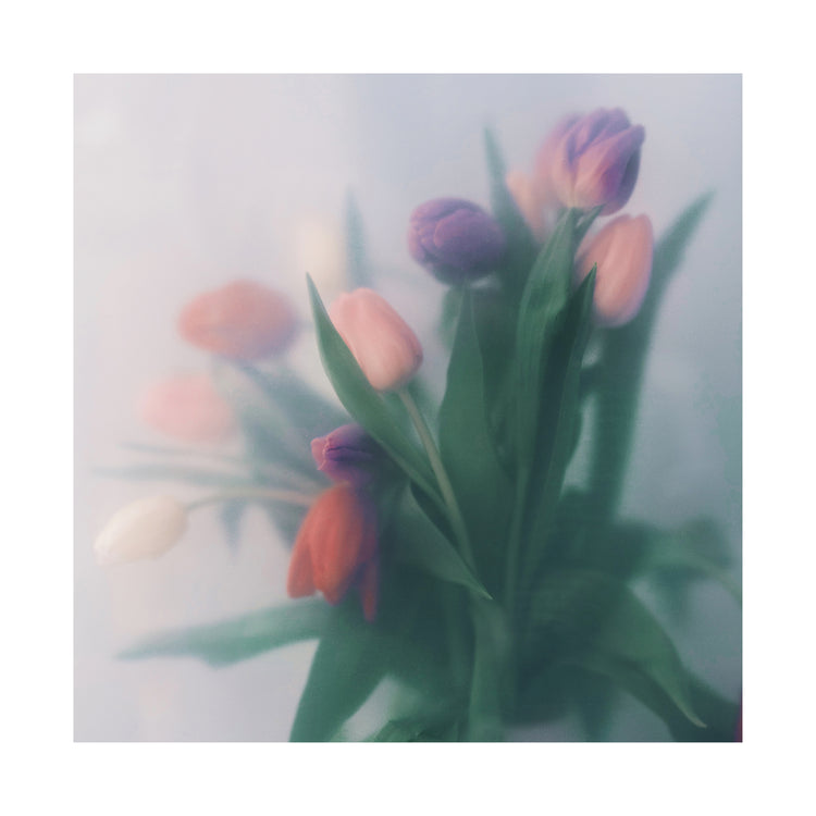 Blurry bouquet of colorful tulips with green leaves.