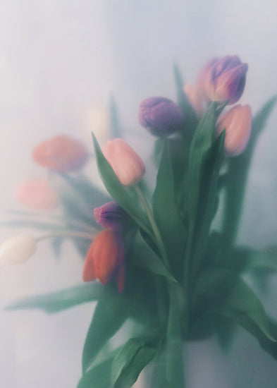 Blurry bouquet of colorful tulips with green leaves.