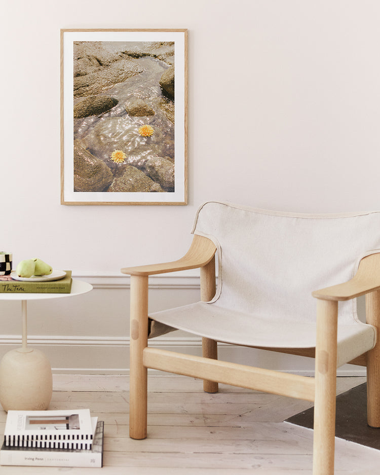 Floating Dahlias Poster