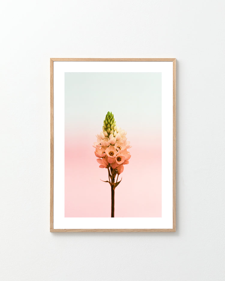 Filtered View Poster