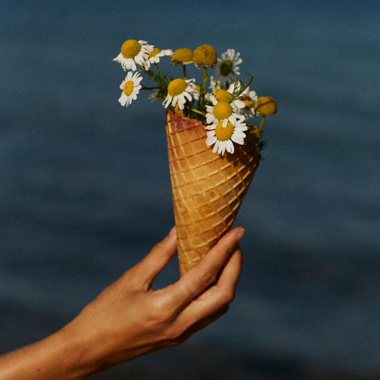 Ice cream cone full of white flowers in front of a blue sea.