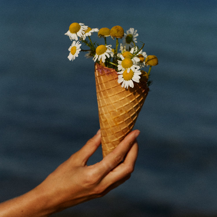 Ice cream cone full of white flowers in front of a blue sea.