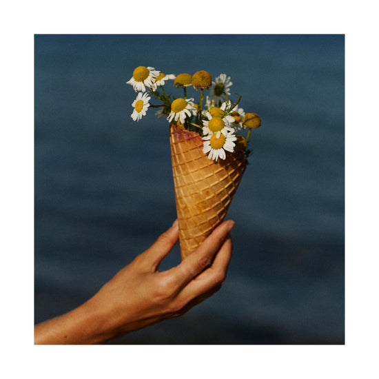 Ice cream cone full of white flowers in front of a blue sea.