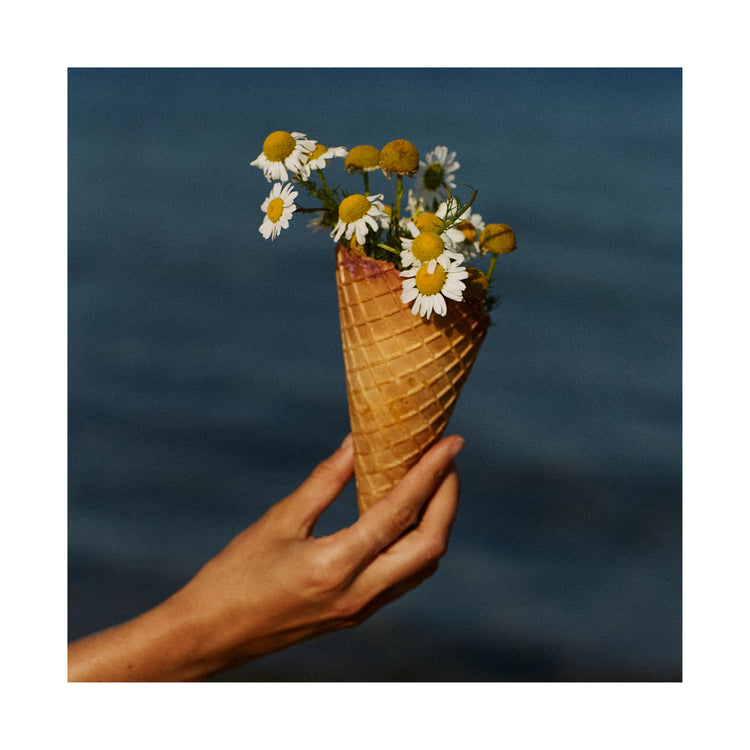 Ice cream cone full of white flowers in front of a blue sea.