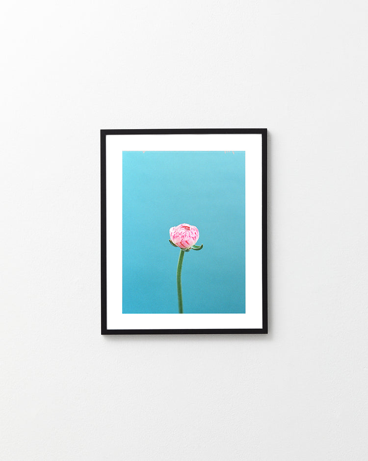 Safe Poster