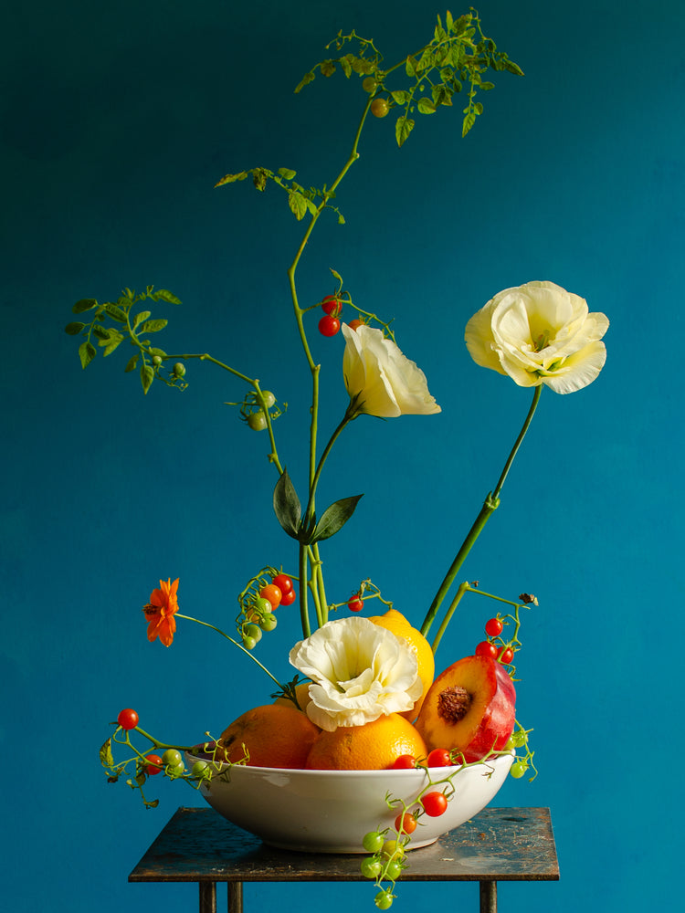 Vegetarian Delight Poster