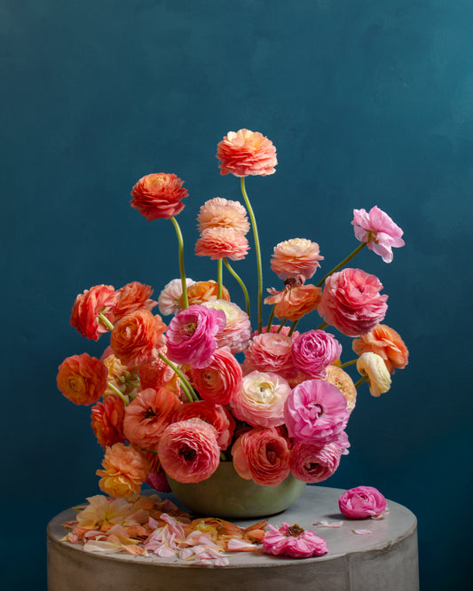 Ranunculus Rainbow Poster