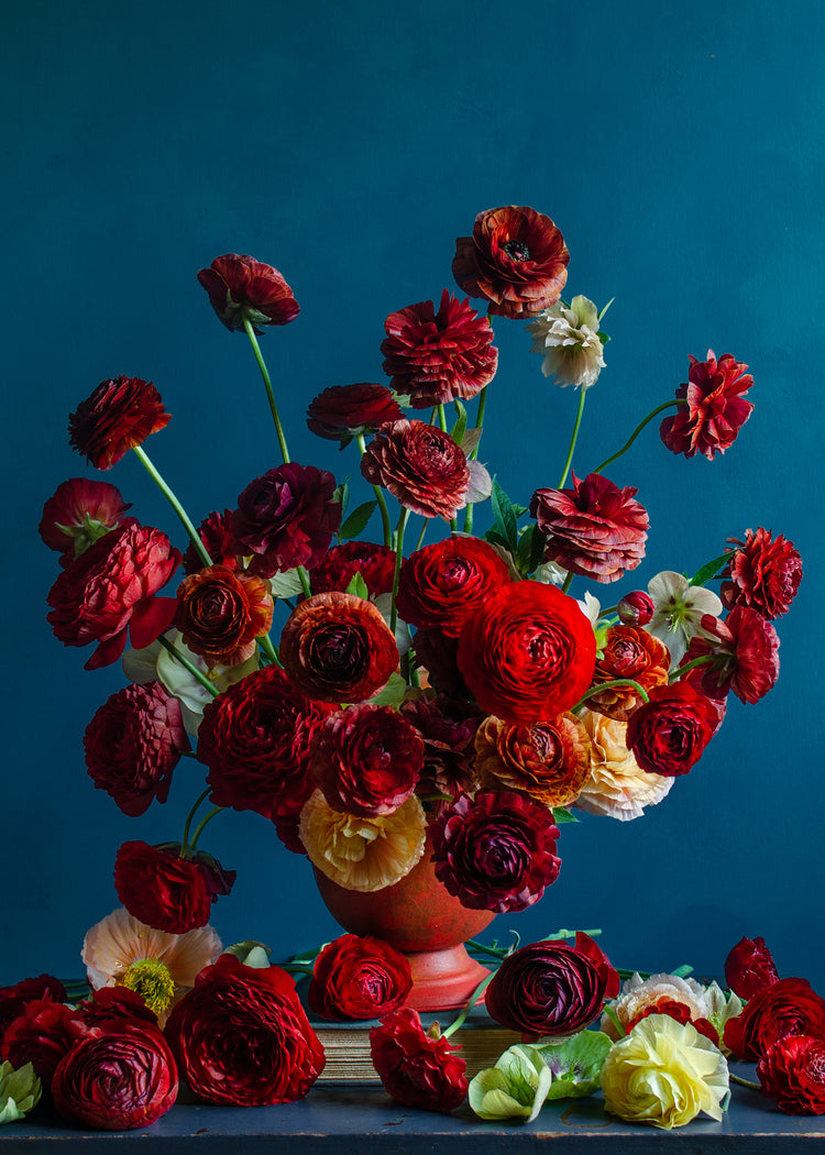 In the Mood for Ranunculus Poster