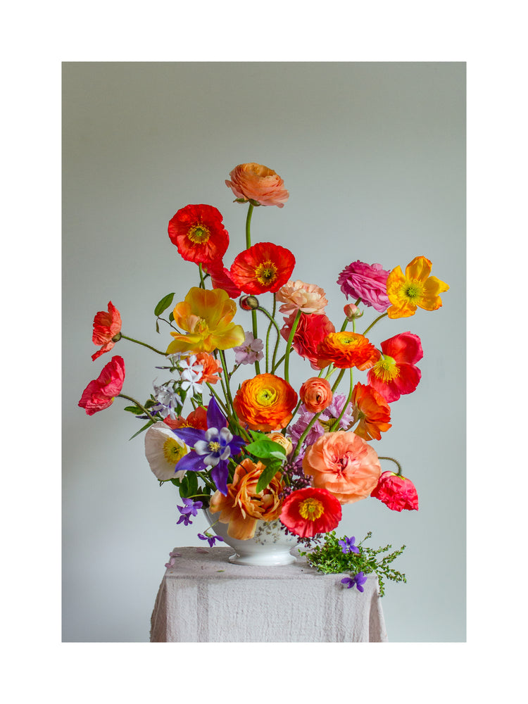 Poppies Popping Poster