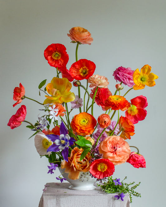 Poppies Popping Poster