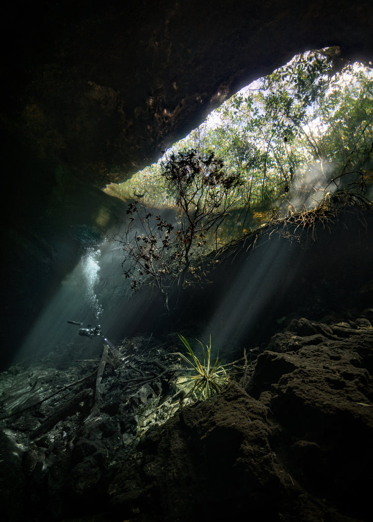 Man diving in a cenote illuminated by the sunlight from the Mexican sun.