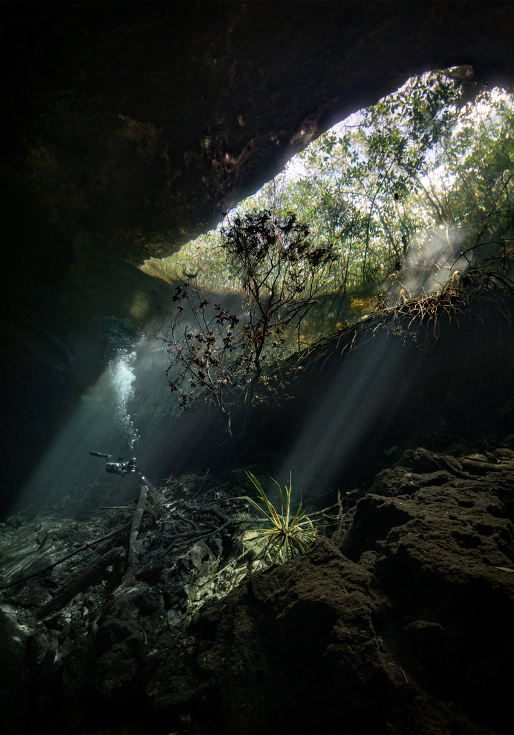Man diving in a cenote illuminated by the sunlight from the Mexican sun.