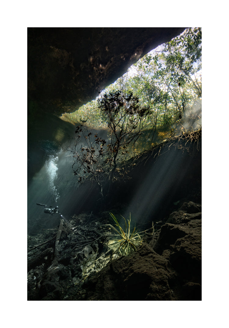 Man diving in a cenote illuminated by the sunlight from the Mexican sun.