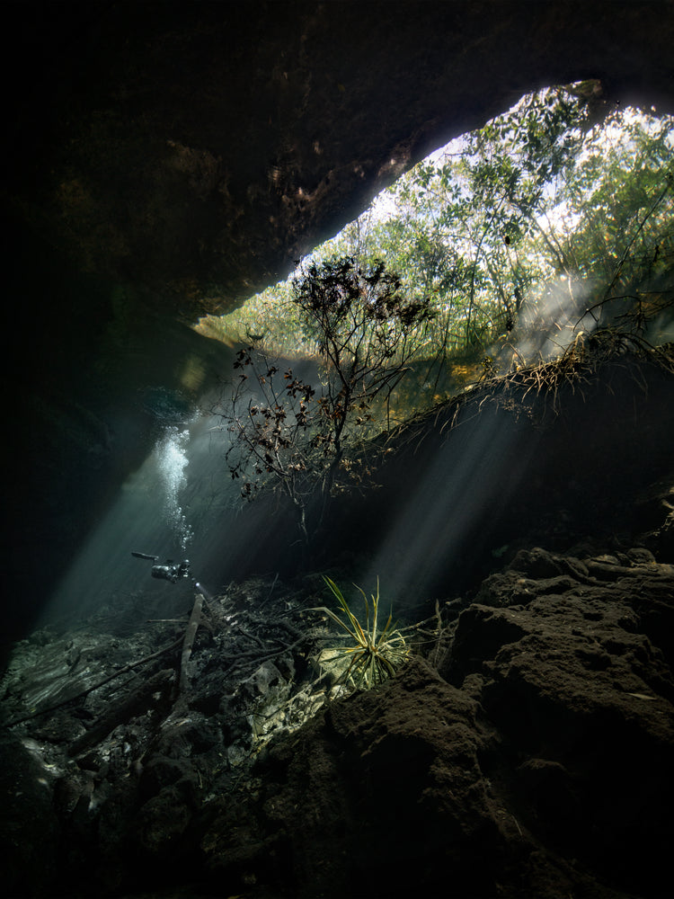 Man diving in a cenote illuminated by the sunlight from the Mexican sun.